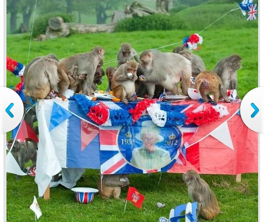Monkey Party for Queen